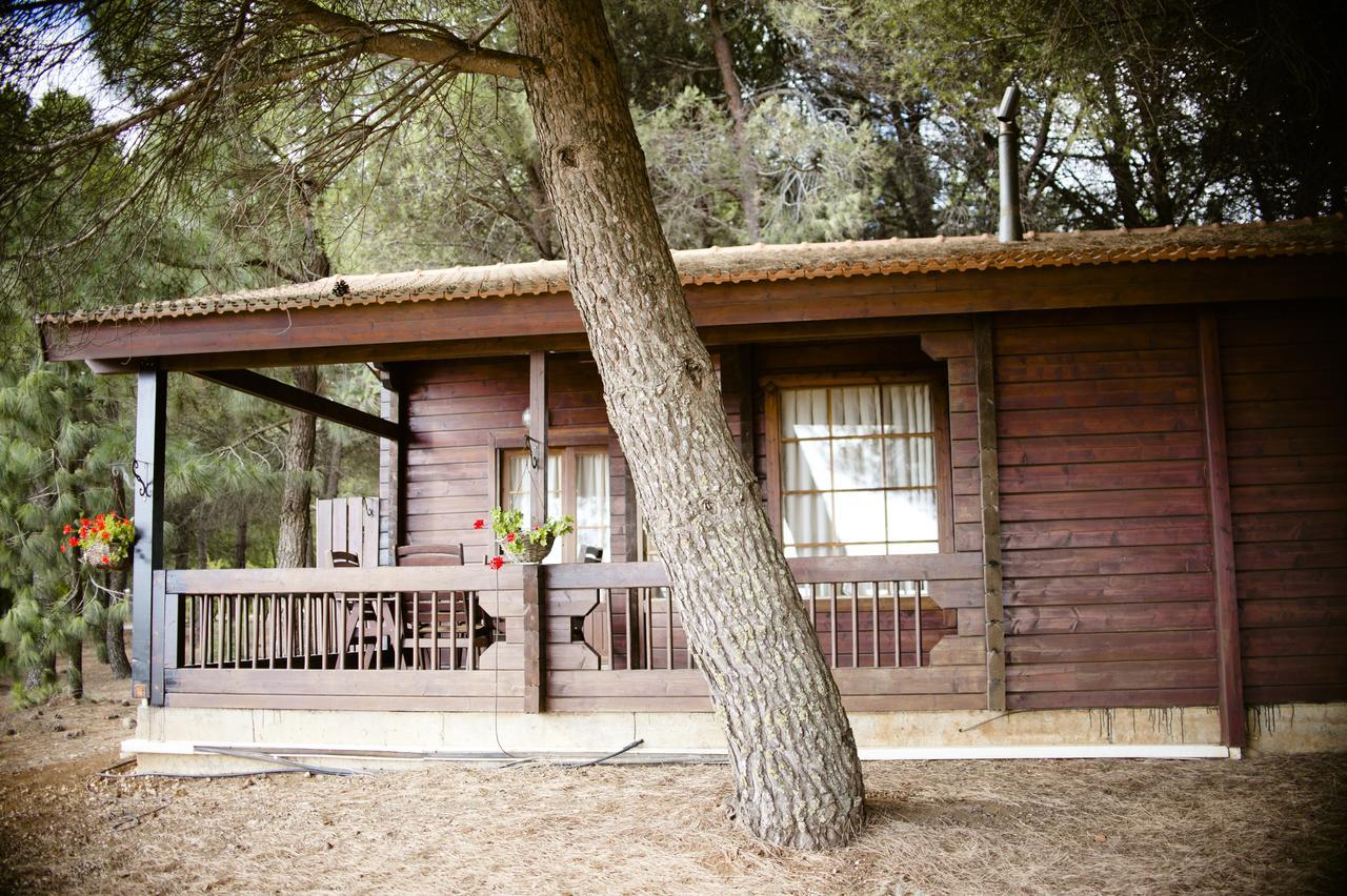 Kibbutz Ortal Tourism Hotell Exteriör bild