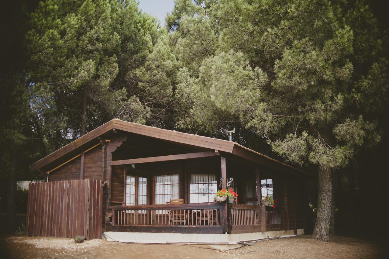 Kibbutz Ortal Tourism Hotell Exteriör bild